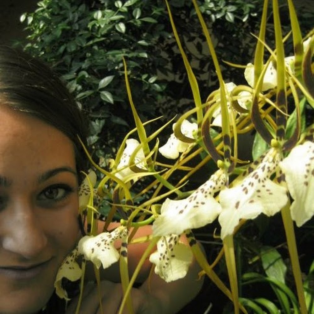 Meet your Posher, Silvia